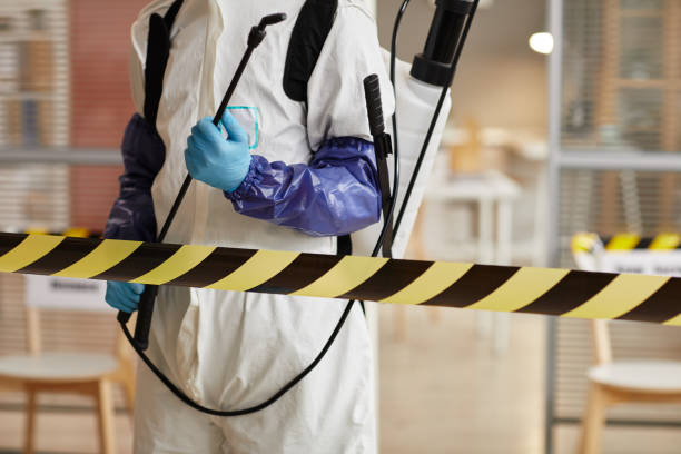 Professional Odor Removal technician working in Custer, WI